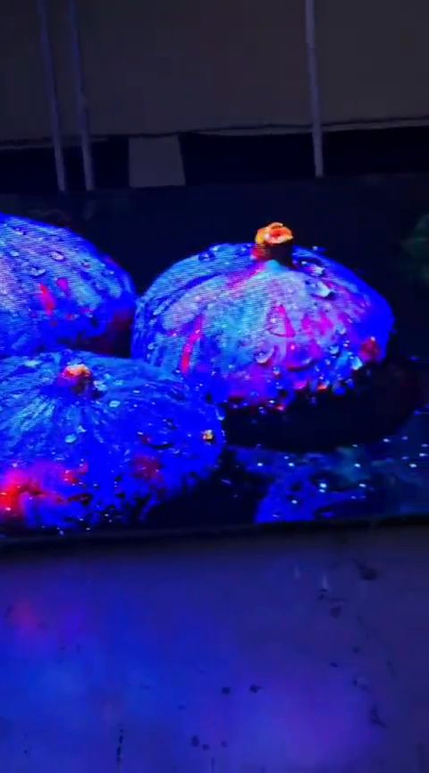 Fine-pitch indoor LED video wall running full-colour imagery during testing